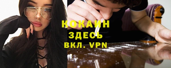стафф Арсеньев