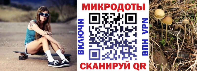 наркошоп Зеленокумск Галлюциногенные грибы Psilocybine cubensis